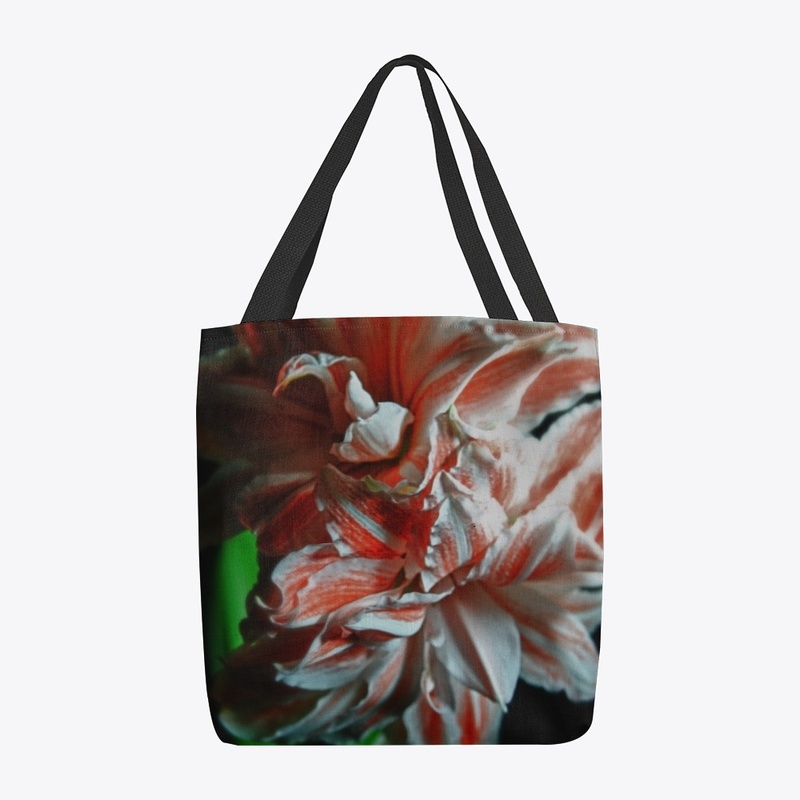 Amaryllis Portrait