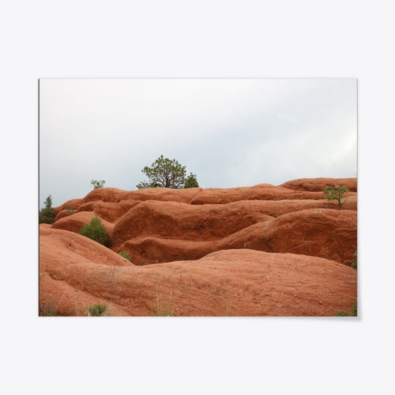 Garden of the Gods 1