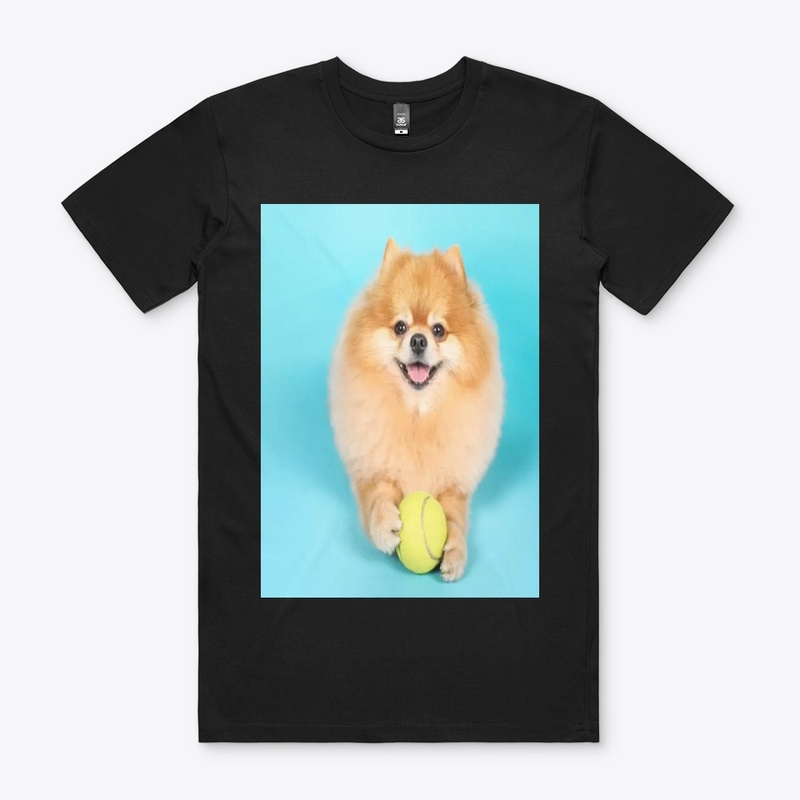 cute dog