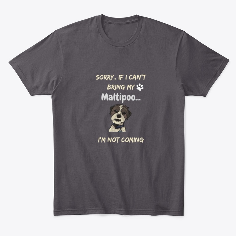 If I can't bring my Maltipoo