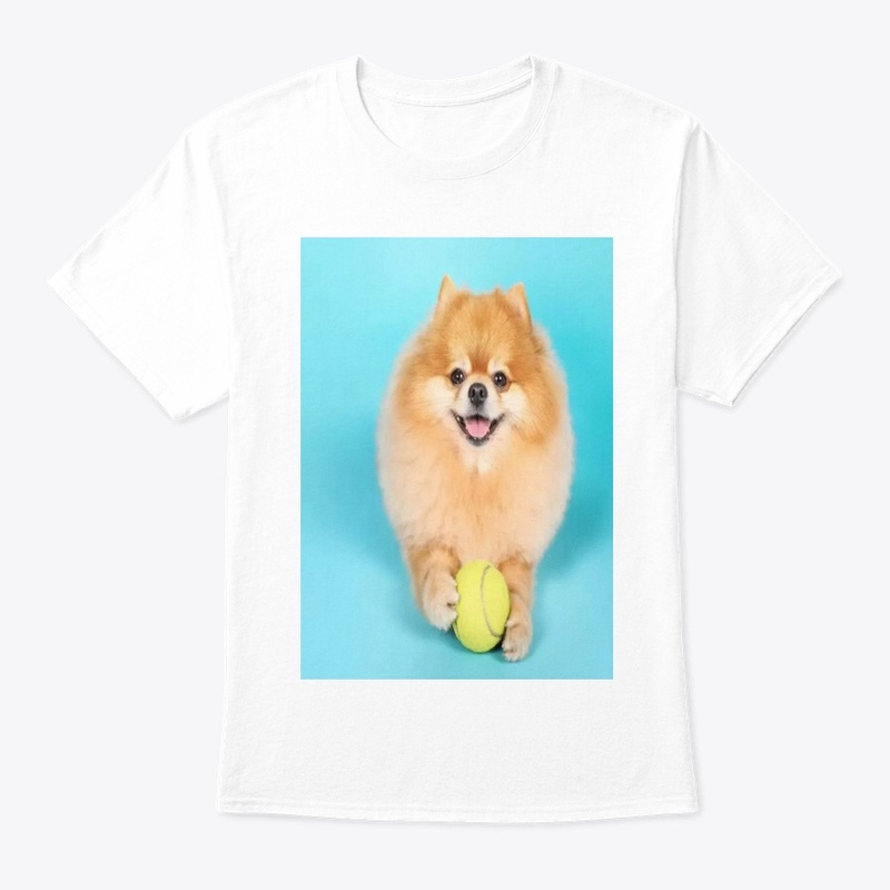 cute dog