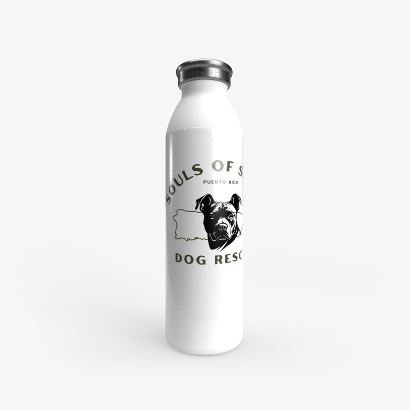 Stainless Water Bottle