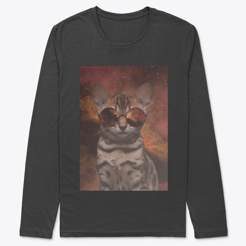 Space cat