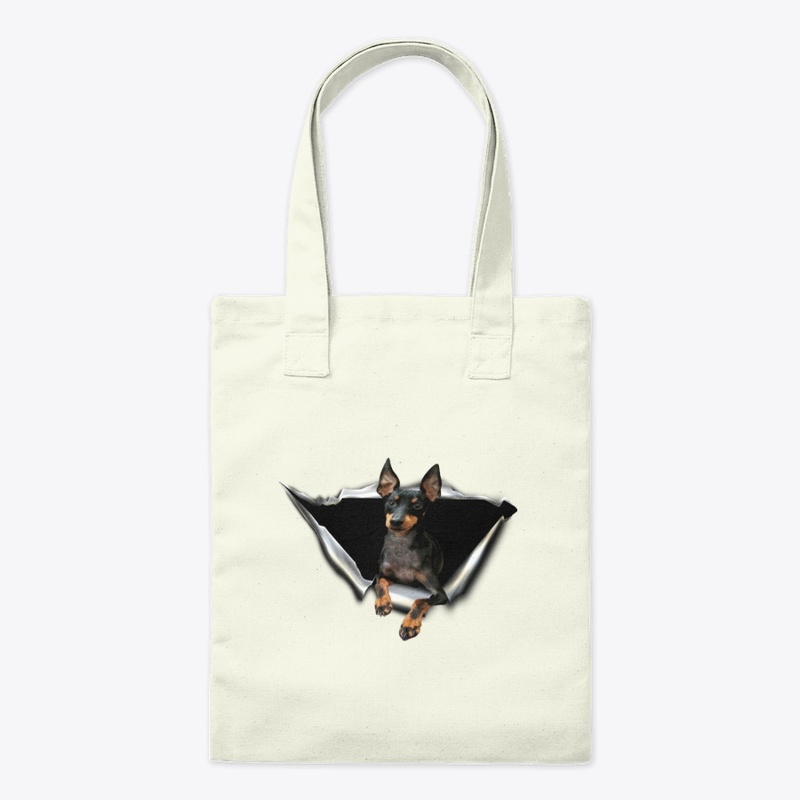 English Toy Terrier