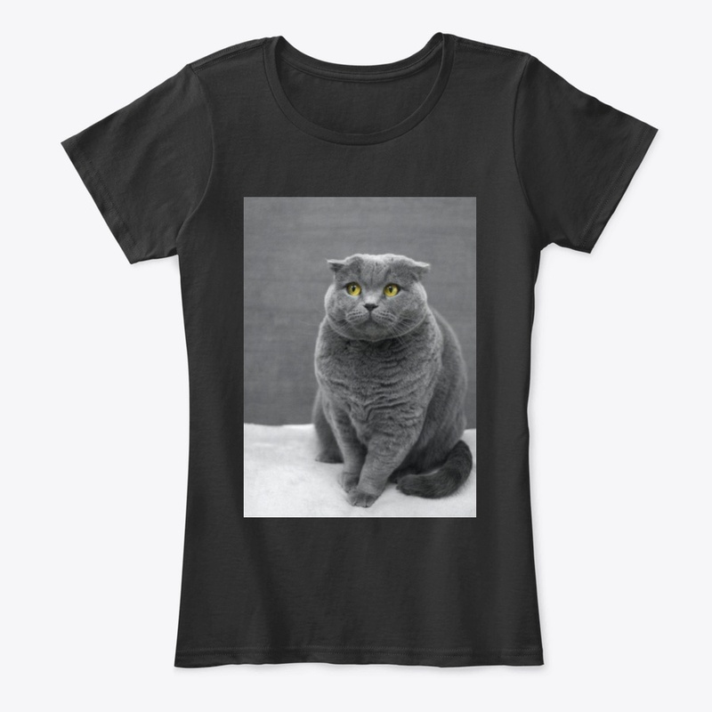 I LOVE MY CAT