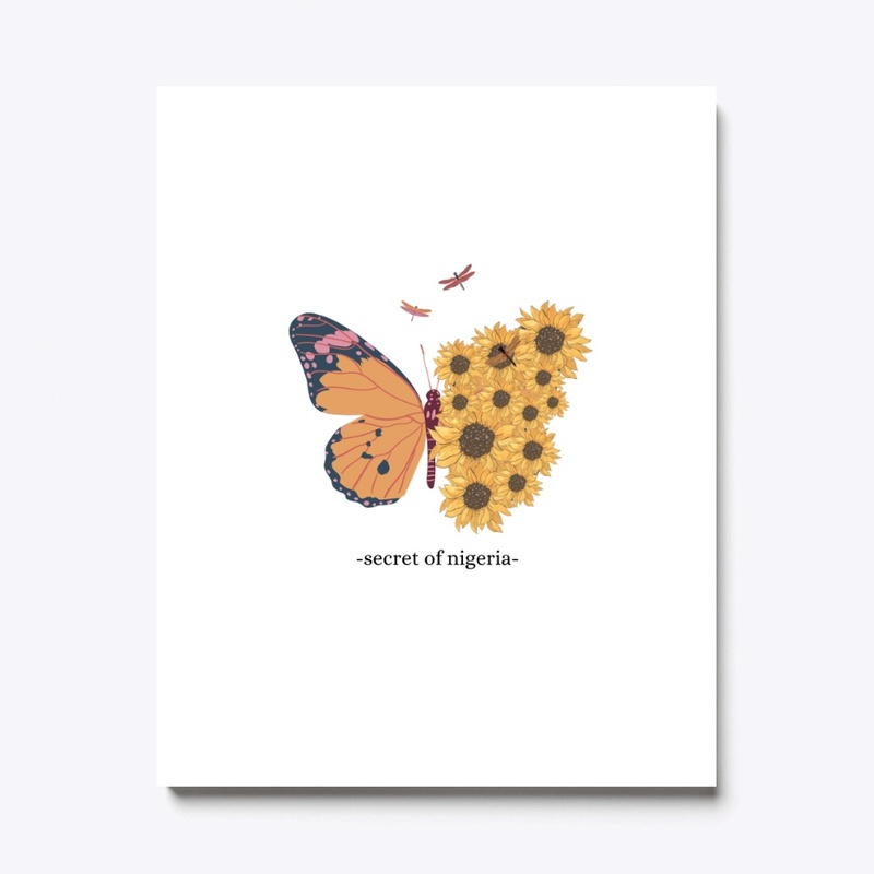 trending butterfly,nature.