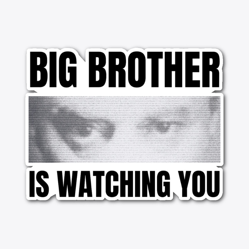 BIG BROTHER IS WATCHING YOU