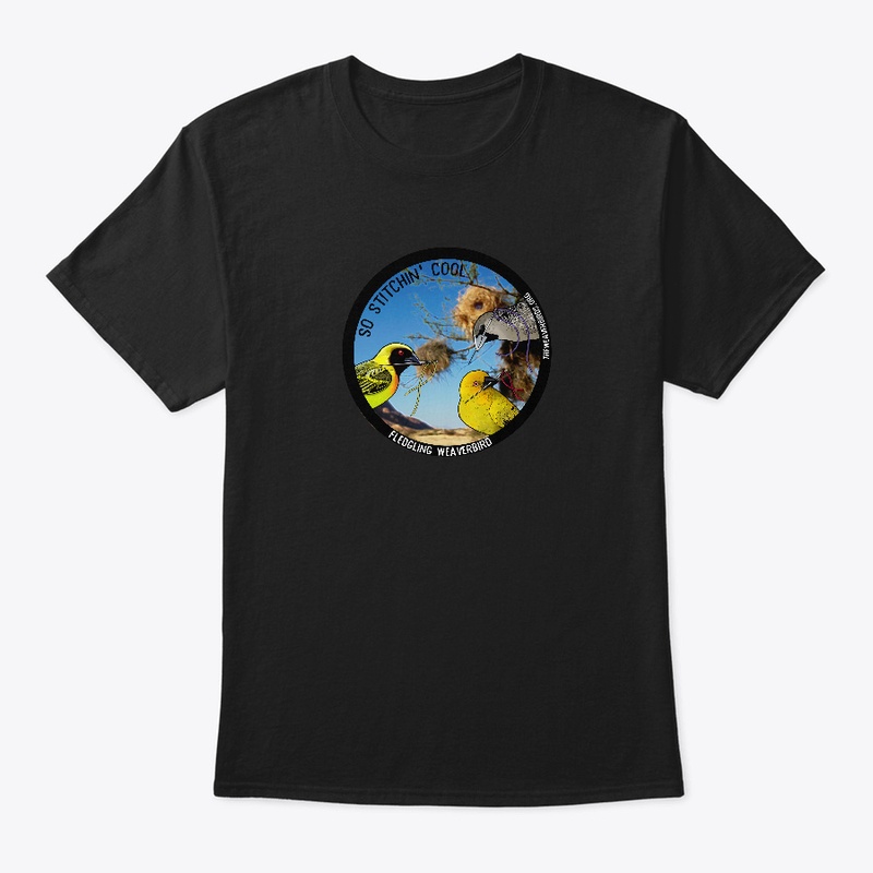 Fledgling Weaverbird 