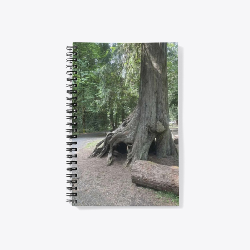 Trunk