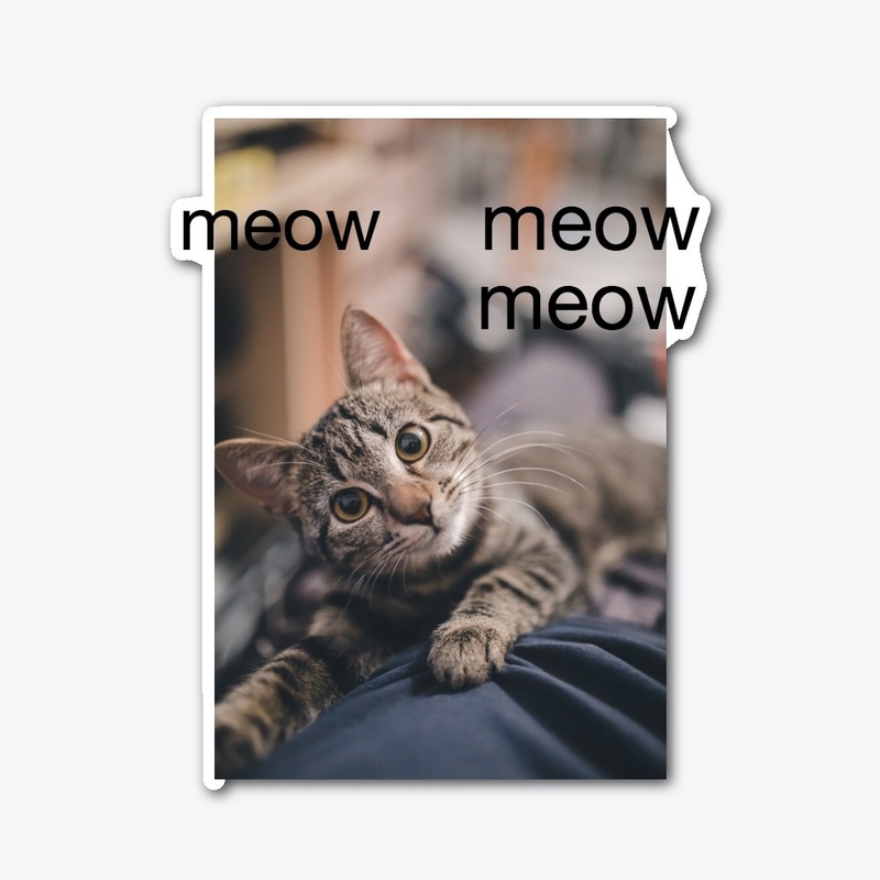 Meowing cat