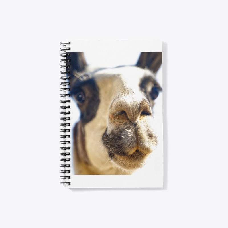 Camel Notebook
