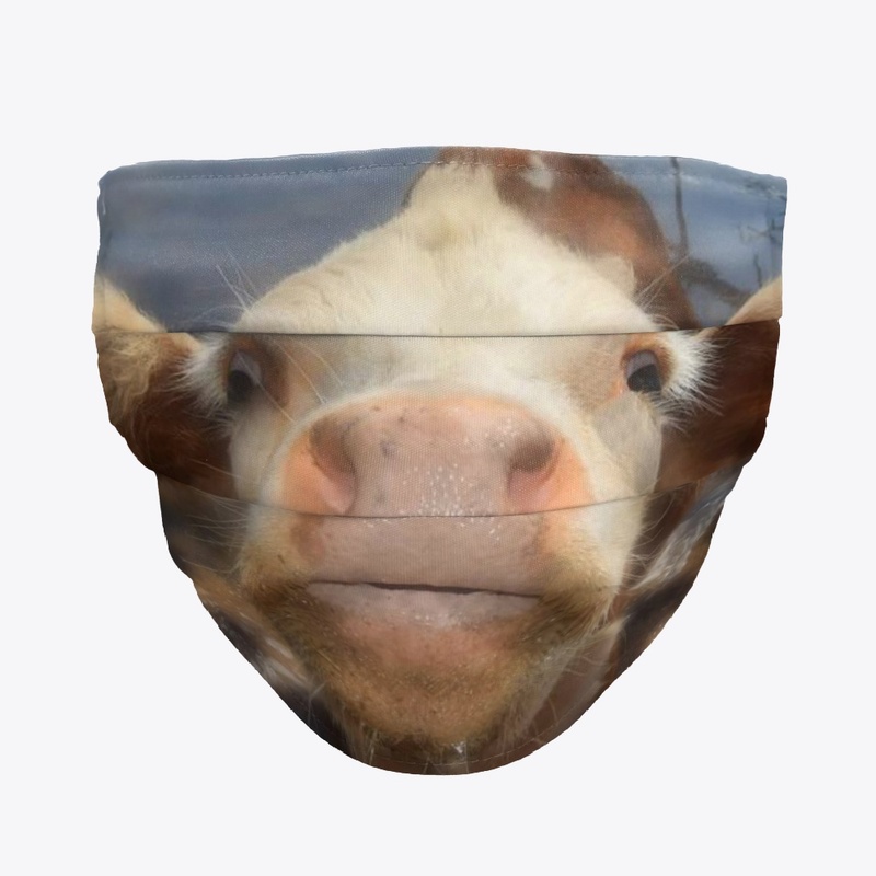 Moothias Mask 2