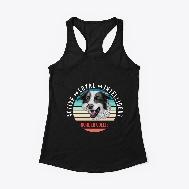 Border Collie - Active, Loyal