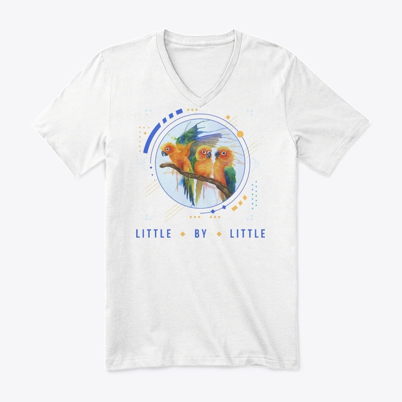 The Conures - "Little By Little"