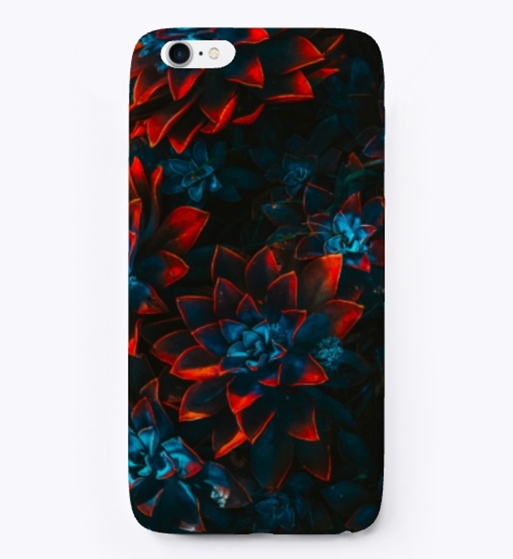 Blood Chrysanthemum