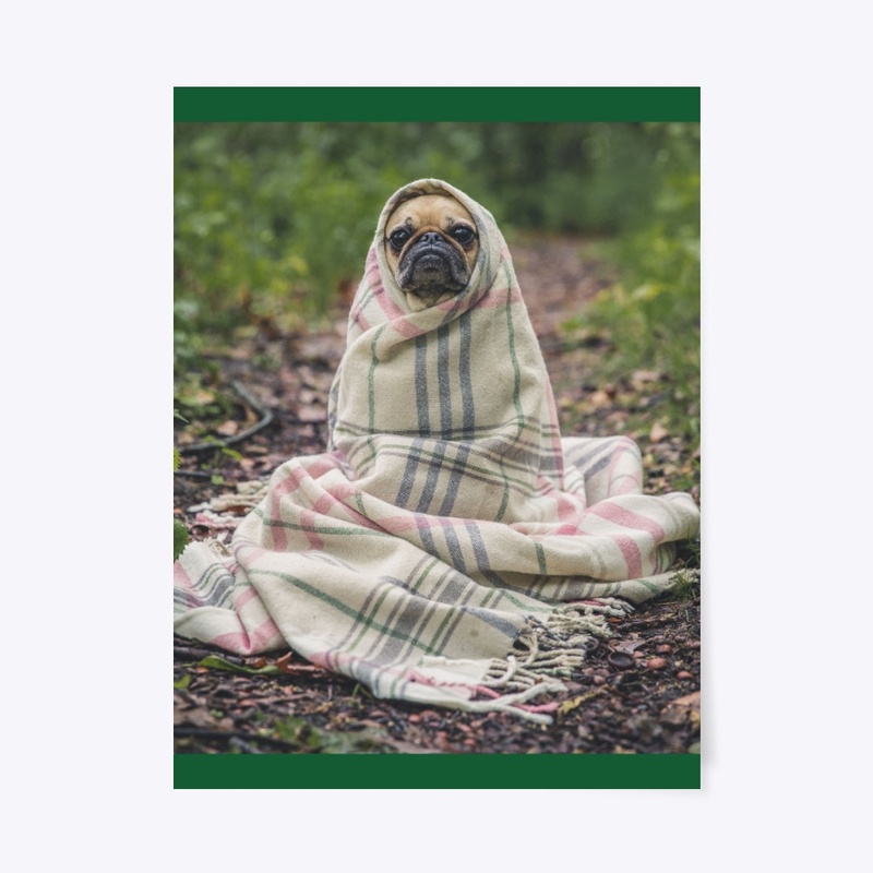 Summer Dog in the Forest Canvas