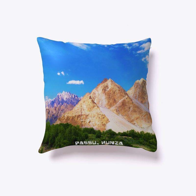 Passu Cushion II