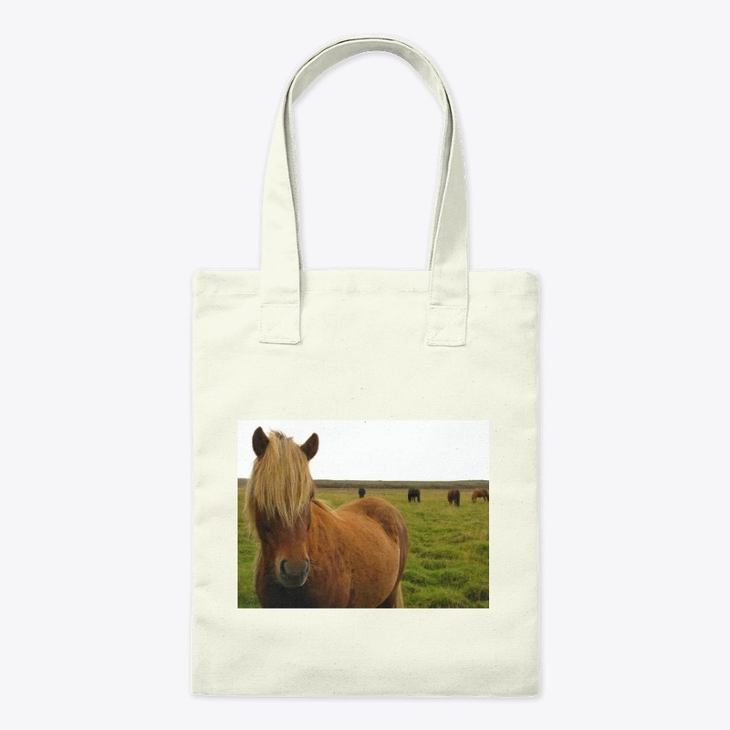 Wild Horses of Iceland - Earth Tourist