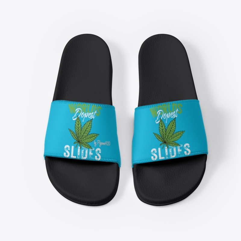 World's Dopest Slides