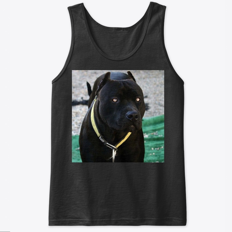 Pitbulls Black