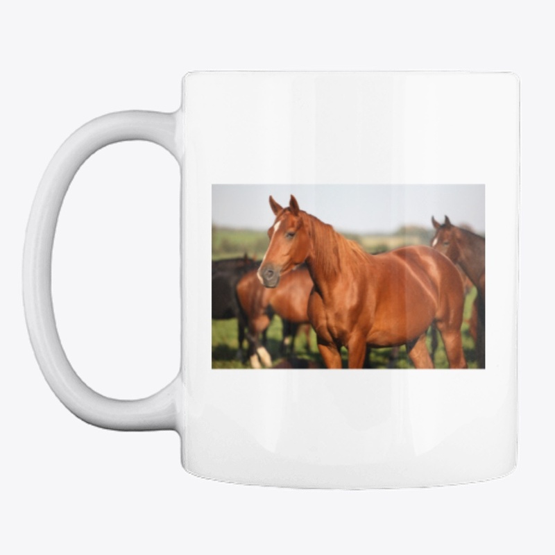 Horse Image Products