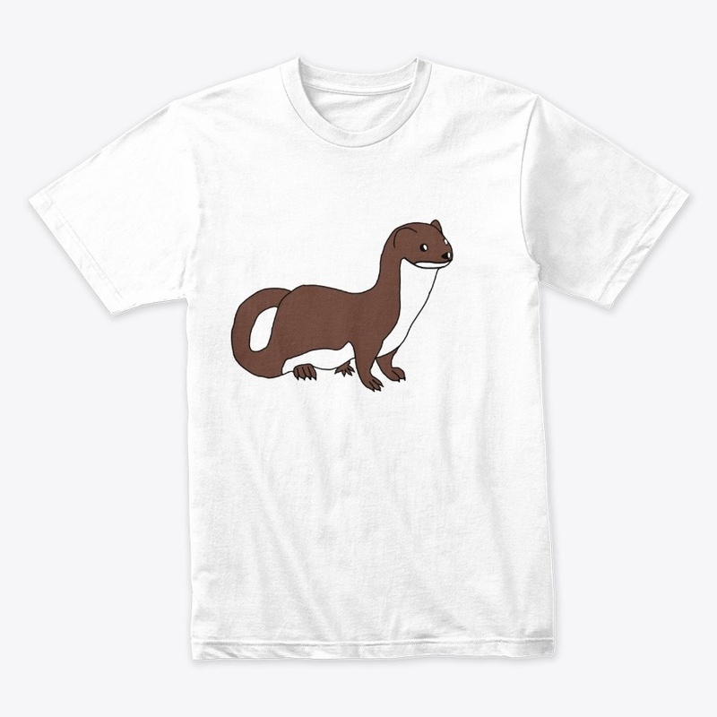 Ferret