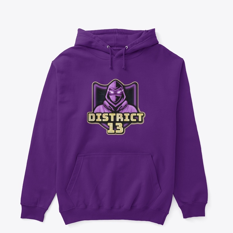 D13