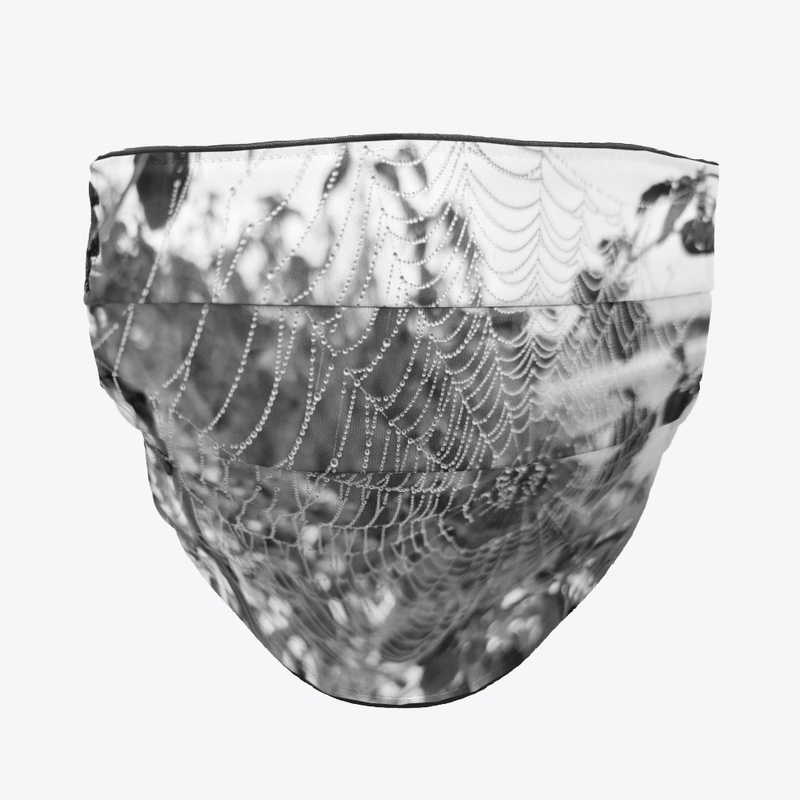 Spiderweb