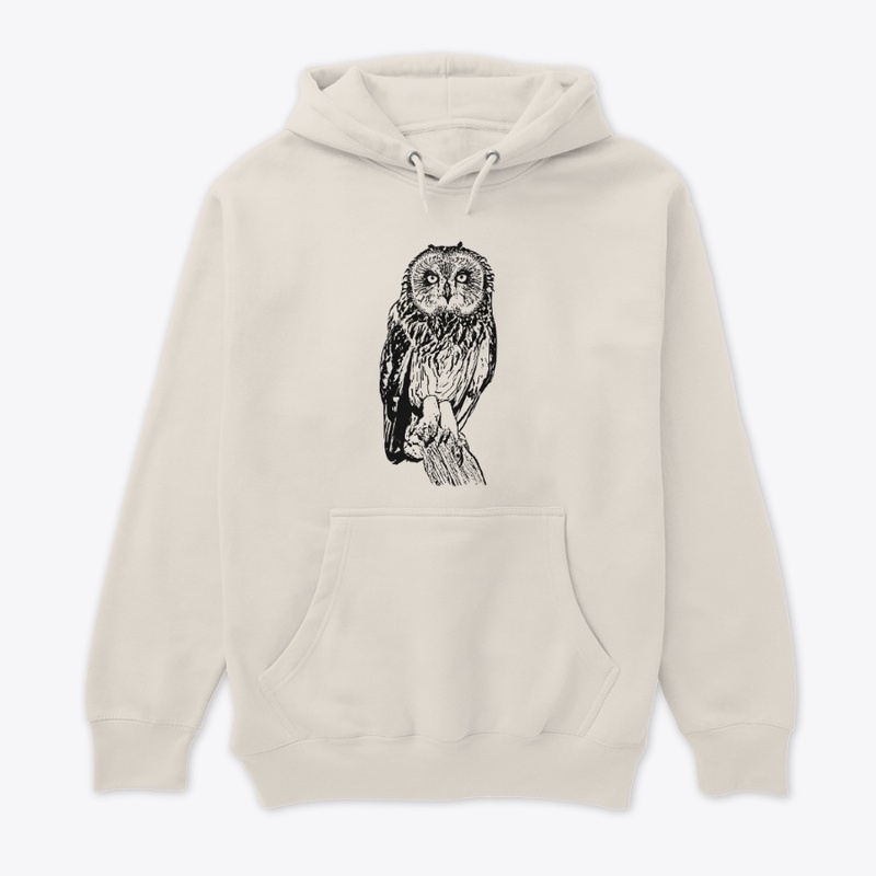 Short-eared Owl - Birdwatching