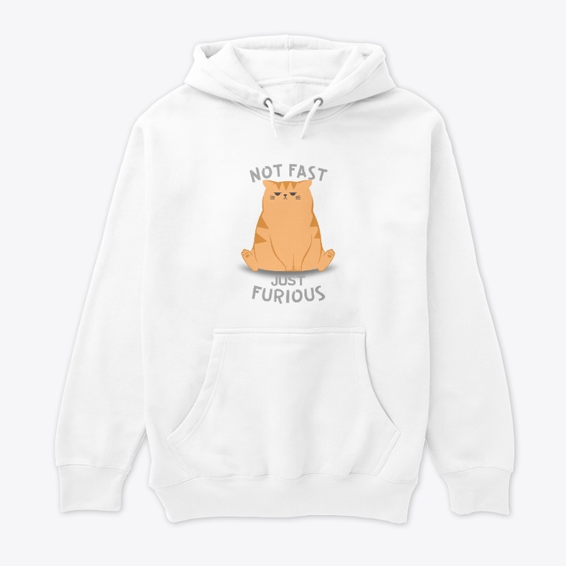 Not Fast Just Furious