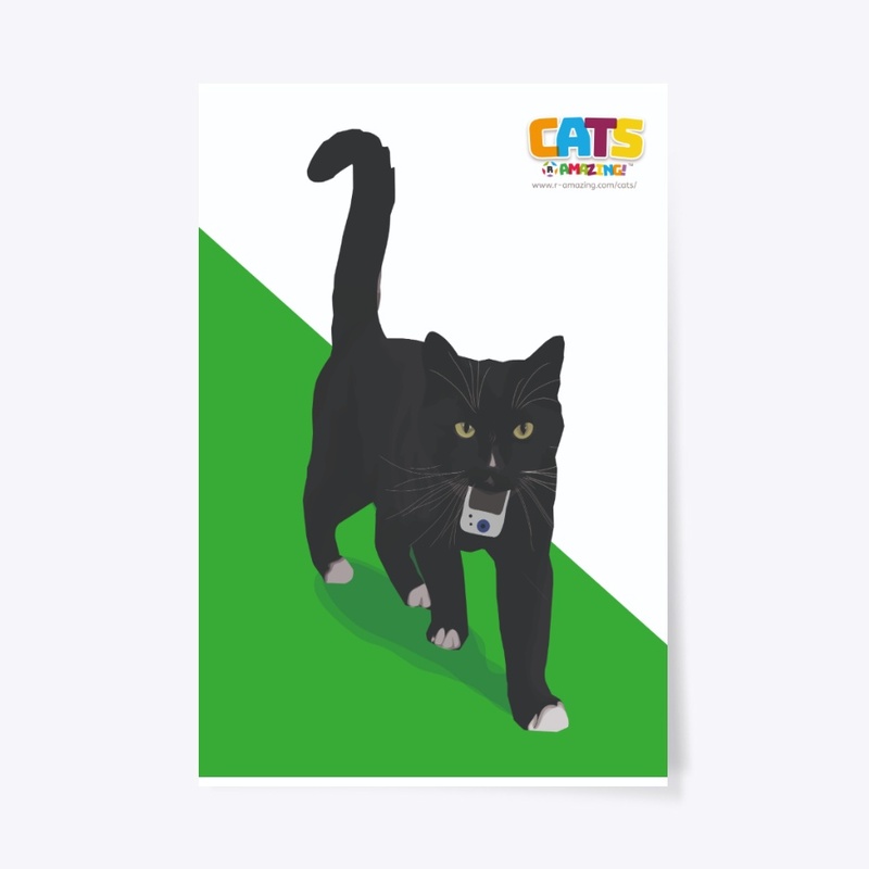 Secret Cat – ‘R’ Amazing Poster