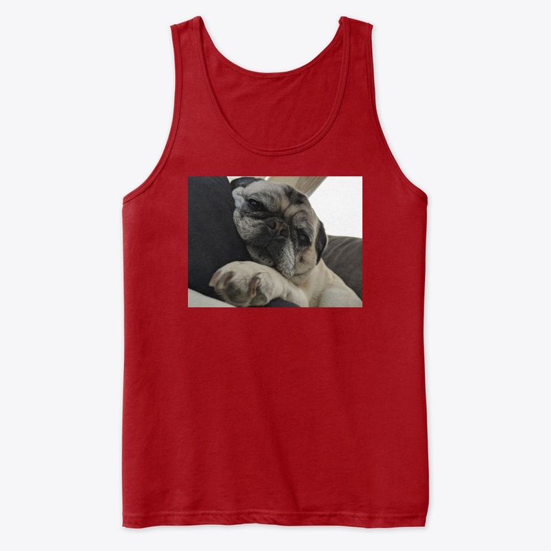 Pug sweatshirts, pug iPhone cases,pug pi