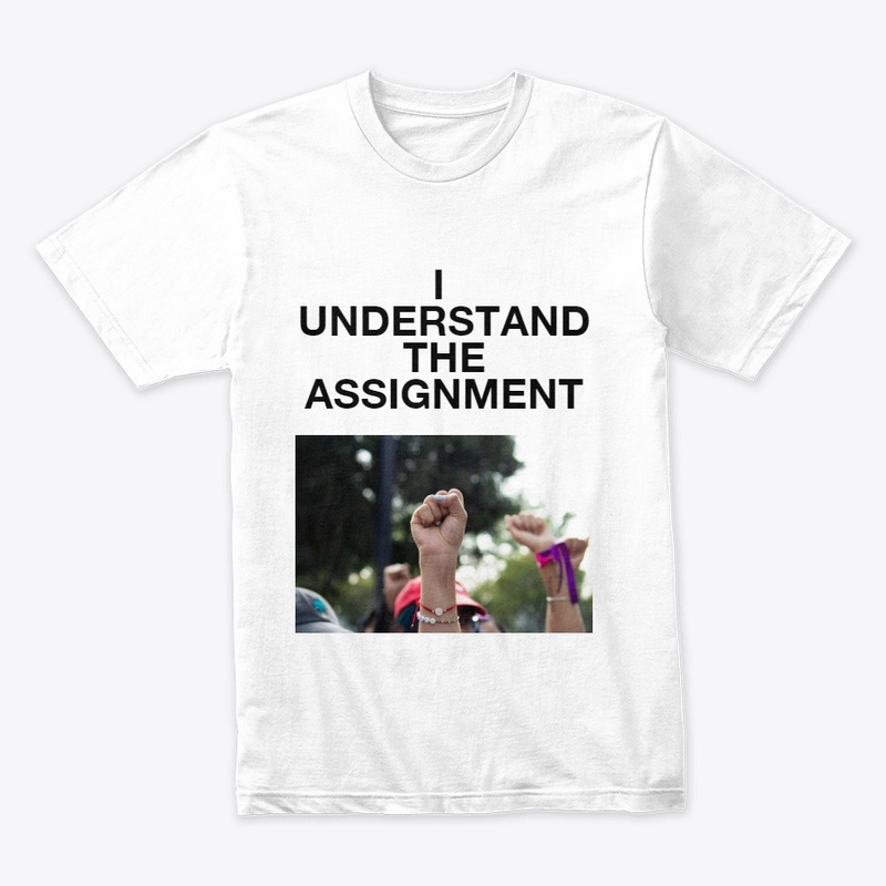 I Understand the Assignment