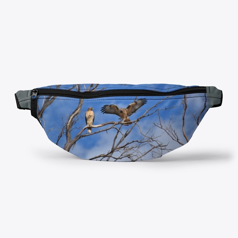 Hawk in tree