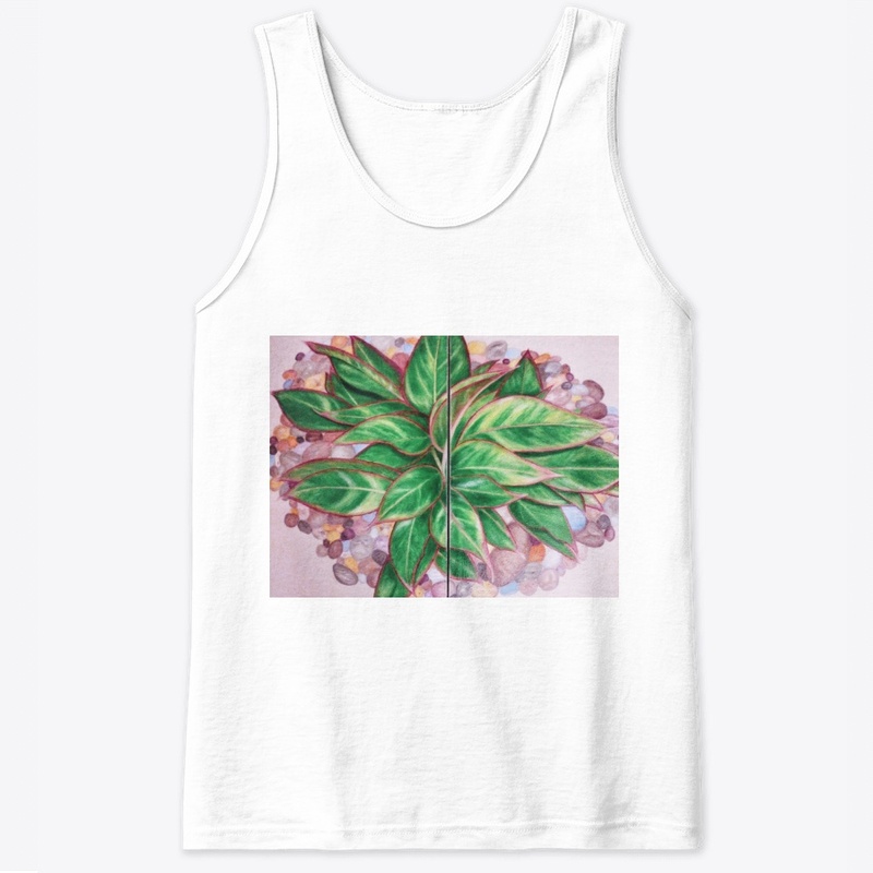 The Chinese Evergreen