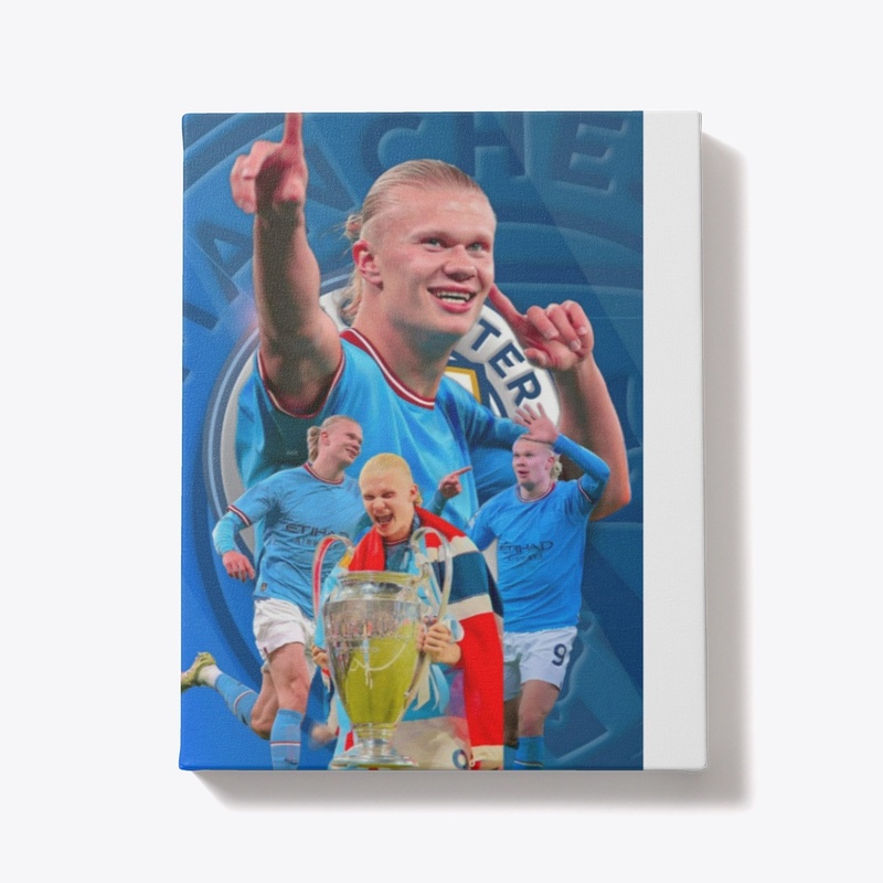 Erling haaland the stricker