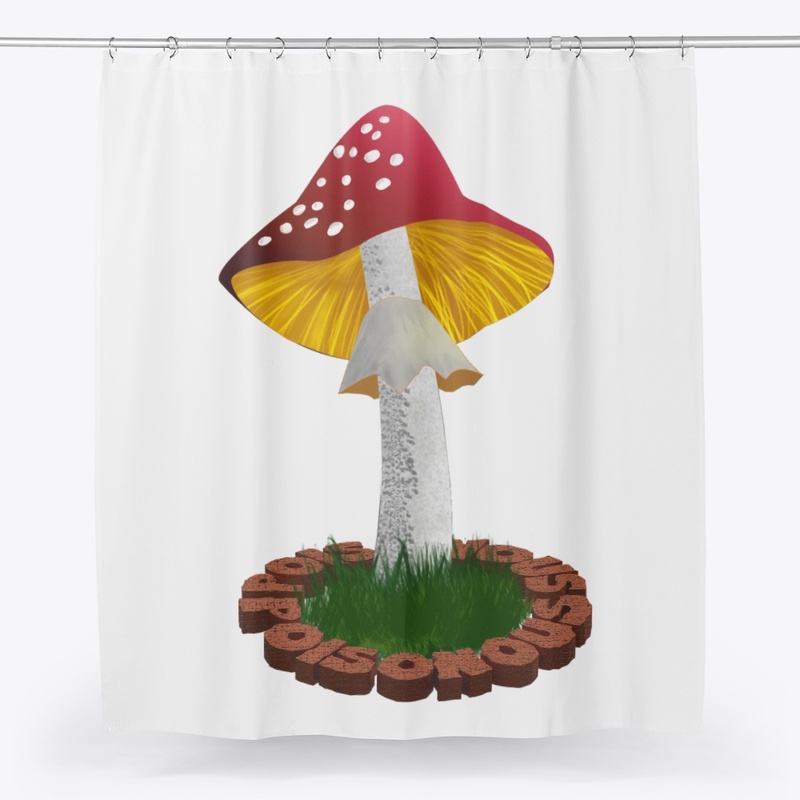 Fly agaric mushroom
