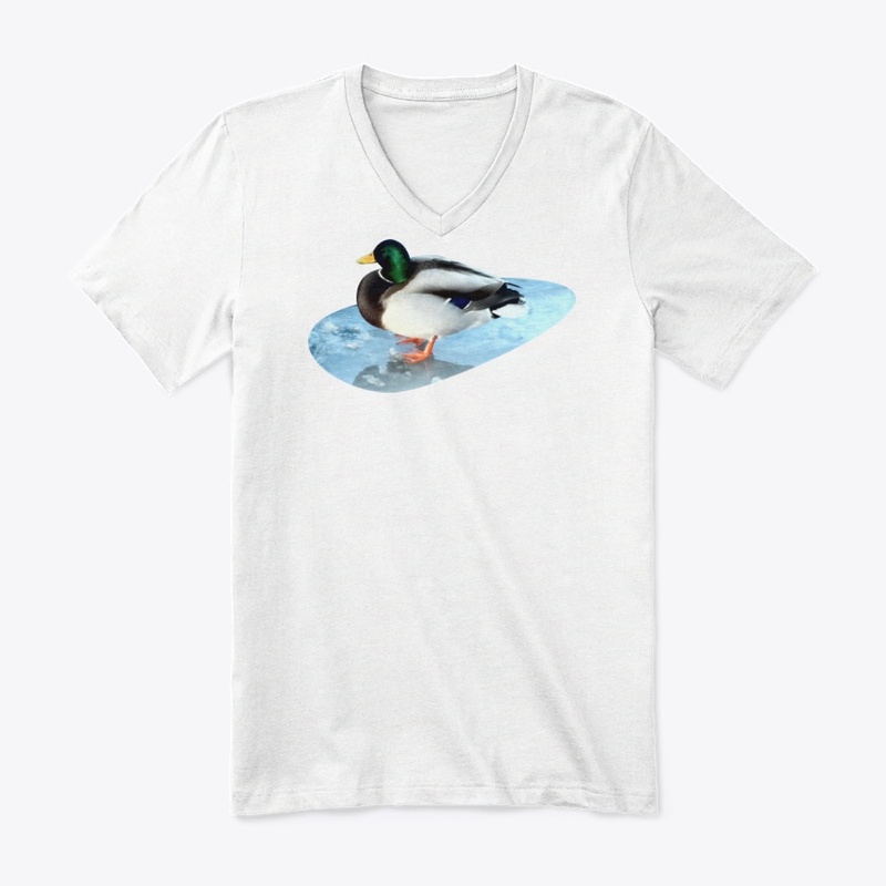 Ducks sit on the ice and swim 