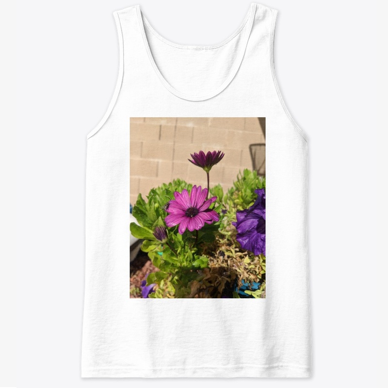 Purple daisy