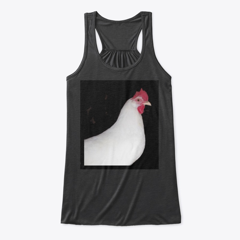 white leghorn hen chicken farm animal