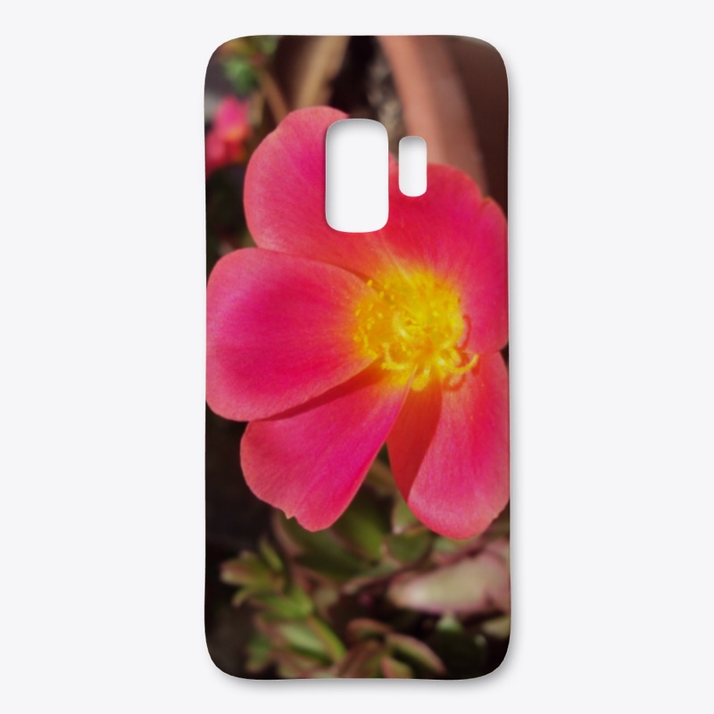 Flowers Eight
