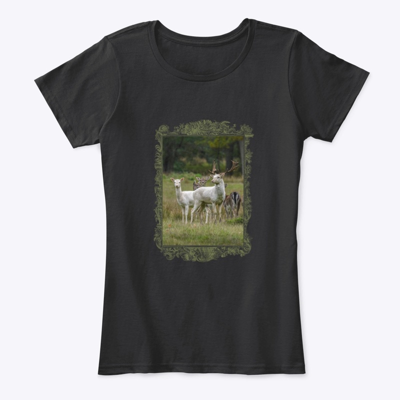 Pure Wildlife Lovers: White Fallow Deer