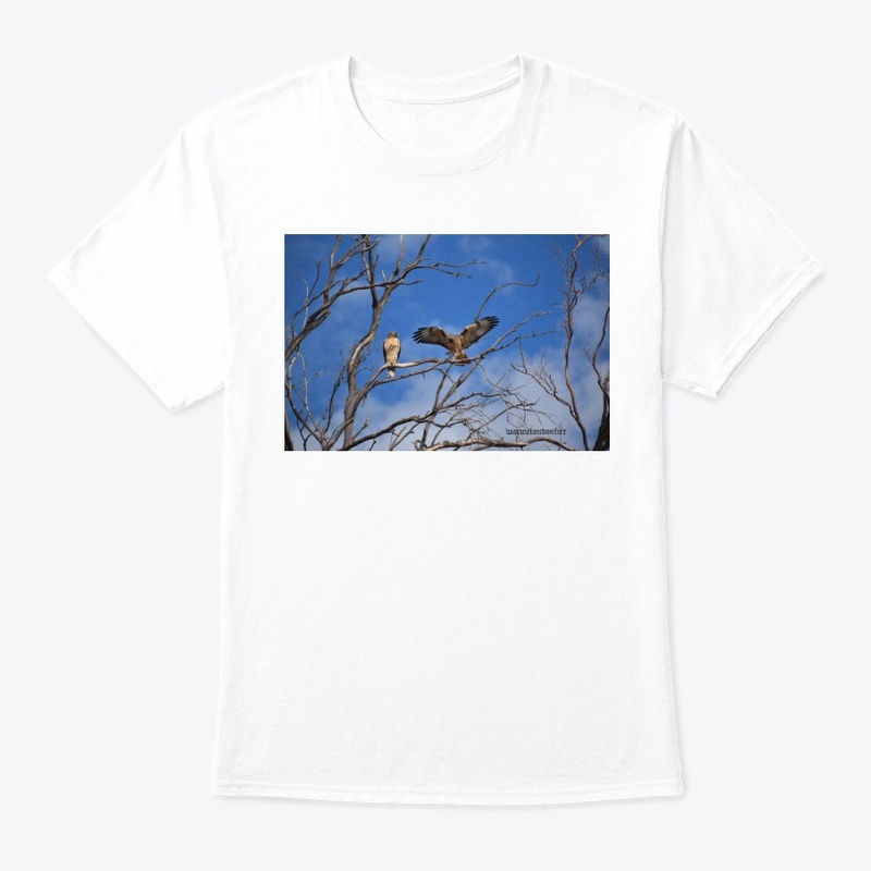 Hawk in tree