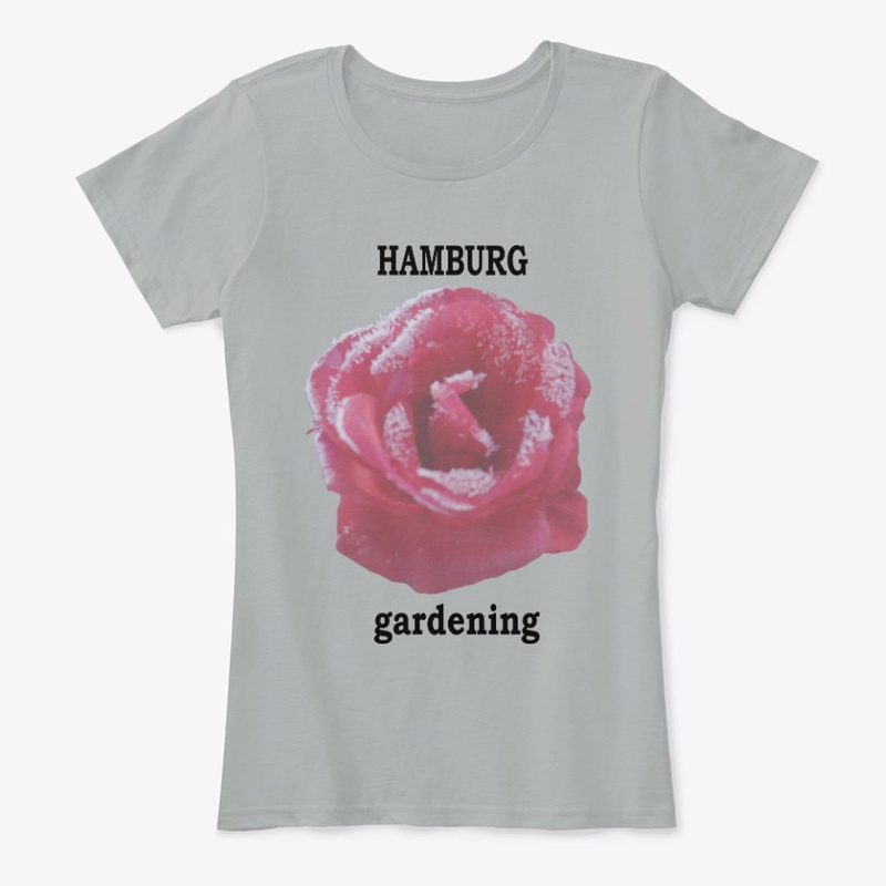 Hamburg gardening rose
