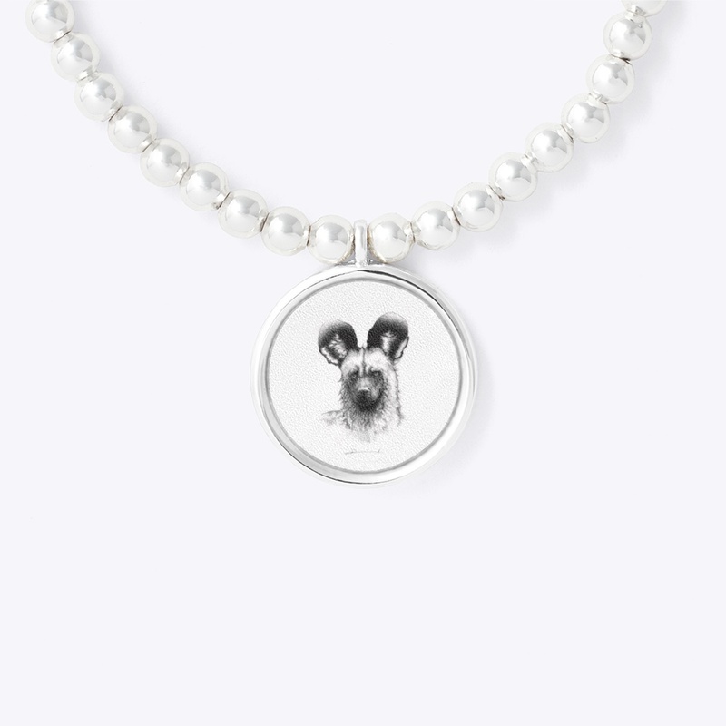 The African Wild Dog