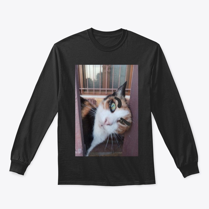 Flipzo's Cat