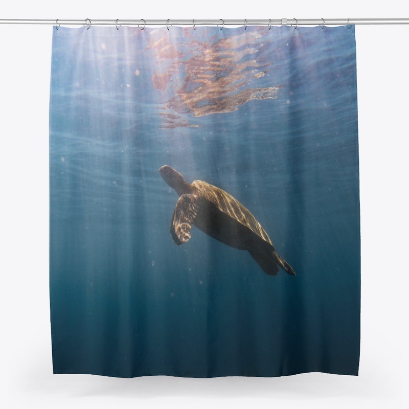 sea turtle swimming in the ocean