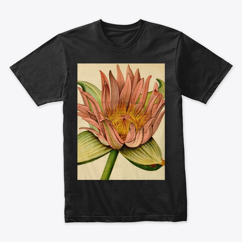 Nymphaea