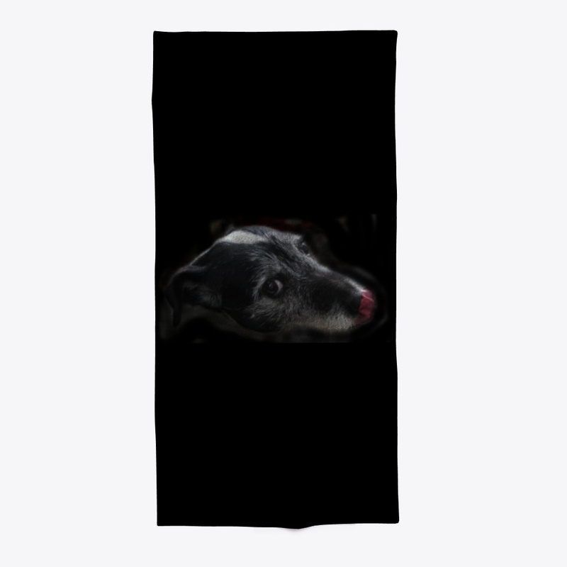 sassy dog