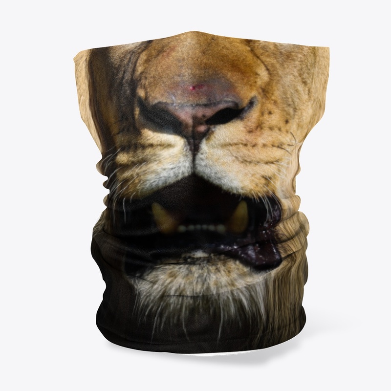 Lion Masks!